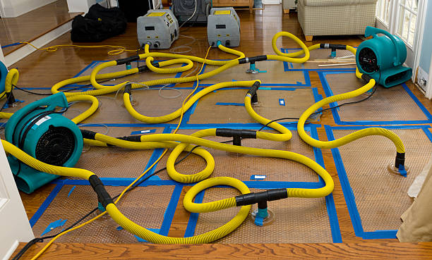 Professional Water Extraction technician working in Sebring, OH